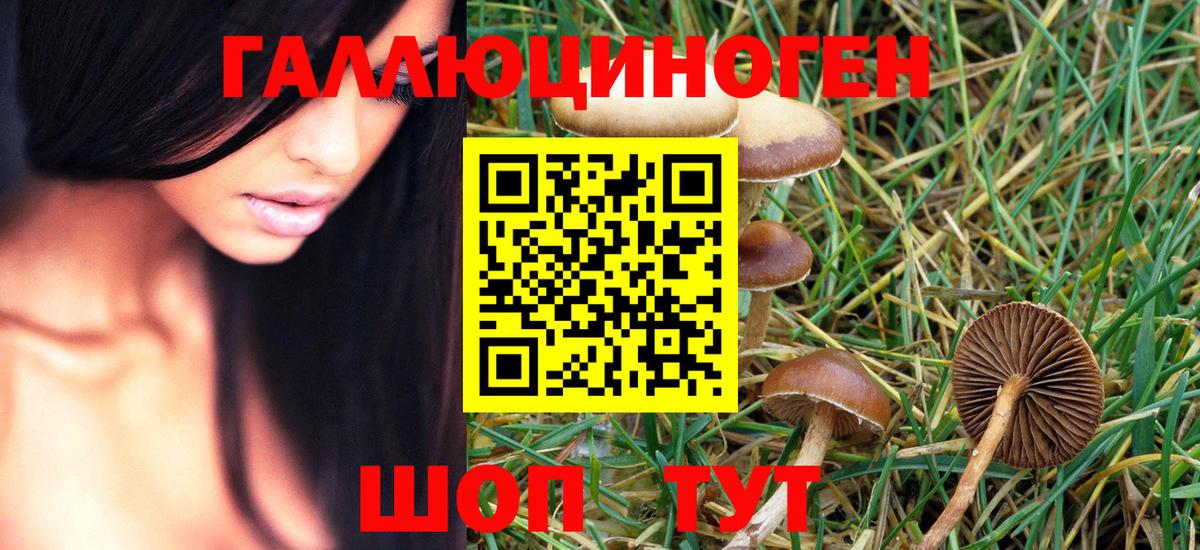 Галлюциногенные грибы Psilocybe  Вход с VPN  Псилоцибиновые грибы Magic Shrooms  Ухта 
